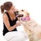 thumbnail image 4 of Collares para perros y gatos con pajaritas ajustables y desmontables, de caballero., 4 of 5
