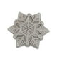 thumbnail image 1 of Molde para tartas Nordic Ware, diseño de copos de nieve, aluminio fundido, antiadherente, 1 of 3
