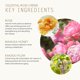 thumbnail image 5 of Crema Hidratante Celestial Rose Tammy Fender 50 ml, 5 of 6