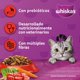 thumbnail image 4 of WHISKAS CARNE 1K + 2 SOBRES, 4 of 9