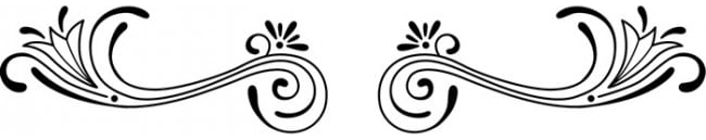 Rienda Libre Graphics - Decomural Floral Spirals Reflected Border Ws-18396