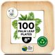 thumbnail image 1 of Platos desechables KoalaLove Palm Leaf de 20 cm, paquete de 100, 1 of 8