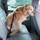 thumbnail image 5 of Arnés Multiuso Negro Para Perro S Mascan, 5 of 7