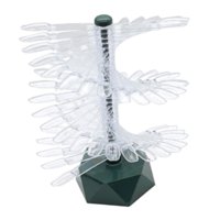 Magideal - Soporte De Exhibición De Esmalte De Uñas, Herramienta De Práctica De Uñas, Estante De Exhibición En Espiral, Exhibición De Tabla De Colores De Arte De Verde