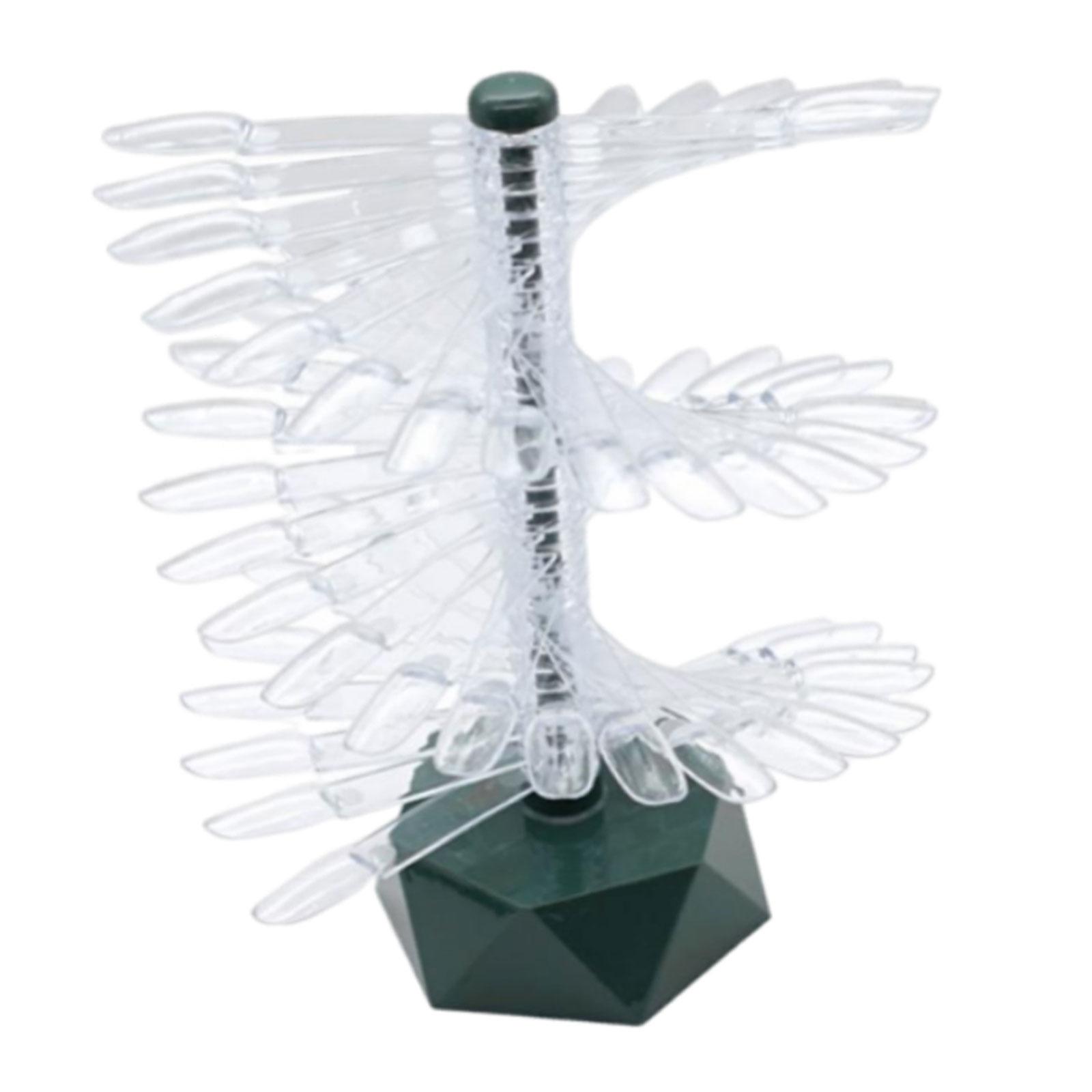 Magideal - Soporte De Exhibición De Esmalte De Uñas, Herramienta De Práctica De Uñas, Estante De Exhibición En Espiral, Exhibición De Tabla De Colores De Arte De Verde