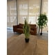 thumbnail image 5 of Planta Artificial Lengua de Suegra Sansevieria 60 cm/12 hjs, 5 of 7