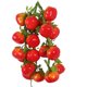 thumbnail image 1 of 5pcs Artificiales Frutas / Verduras Cuerdas Agritainment Granja Decoraciones Para Colgar 14, 1 of 3