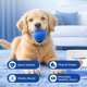 thumbnail image 2 of Suplemento de taurina para perros Doggy Supps, 200 g, apoyo inmunológico, 2 of 7