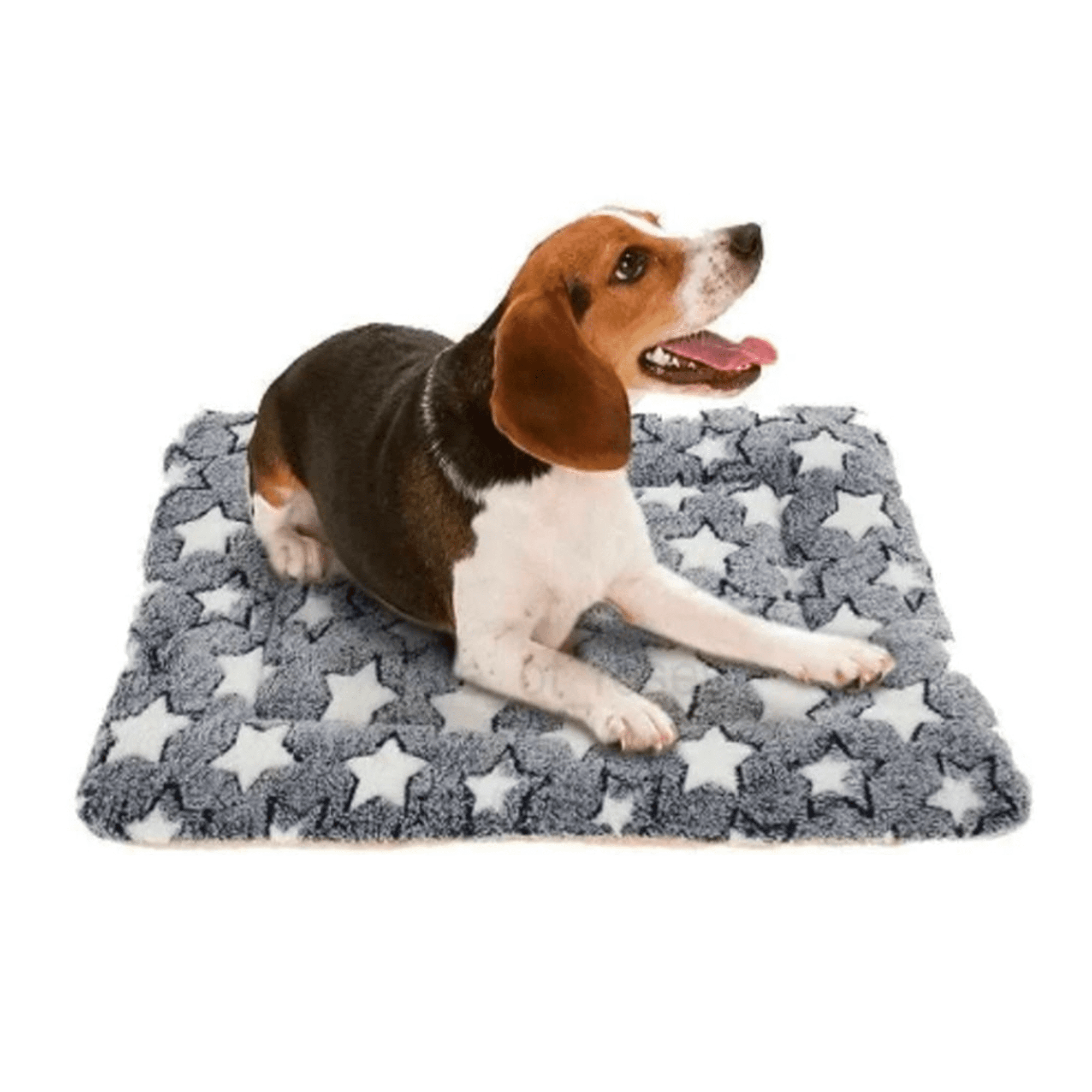 Genérico - Alfombrilla Suave Mascota Perro Gato Manta Acolchada 58x39cm Color Gris