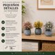 thumbnail image 5 of Set 3 Plantas Artificiales Flores Velo de Novia Decoracion gris, 5 of 8