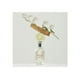 thumbnail image 4 of Perfume Mujer Girl EDT 100 ML, 4 of 6