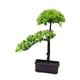 thumbnail image 3 of Pinos Artificiales Bonsai árbol Artesanías Regalos Plantas De Imitación Para Oficina Interior Hotel Verde, 3 of 3