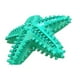 thumbnail image 1 of Juguete Para Morder Estrella Interactivo Mascotas Perros, 1 of 4