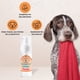thumbnail image 2 of COOL PET SHAMPOO SIN ENJUAGUE ESPUMA PERRO, 2 of 3