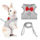 thumbnail image 1 of Arnés y Correa para Conejo Uxcell, Arnés de Chaleco Lindo para Mascotas Pequeñas, Correa Ajustable Suave con Hebilla de Malla Transpirable (S, Gris) para Conejito, Gatito, Cerdito Pequeño, 1 of 7