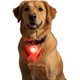 thumbnail image 2 of X3 Luz Led Para Collar De Mascotas Paseos Nocturno Perros, 2 of 8