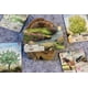 thumbnail image 2 of Juego de cartas Asmodee Lookout Forest Shuffle Dartmoor, 2 of 7