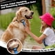 thumbnail image 3 of Kit de Cepillos para Mascotas Augwind de 3 Piezas, 3 of 3