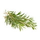 thumbnail image 2 of Oroaroma TEA TREE ESSENTIAL OIL NATURAL TREATMENT ADULTS ORGANI Cargan Remove Acnes Whelks skin TEA TREE OIL, 2 of 3