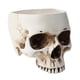 thumbnail image 5 of Maceta De Hormigón Con Forma De Calavera De Halloween Para Bricolaje, 5 of 5