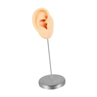 Magideal - Modelo De Oreja De Silicona, Oreja Falsa Perforable, Pendiente Realista, Exhibición De Joyería Para Práctica De Perforación, Escaparate De Vendedores, Piel Derecha