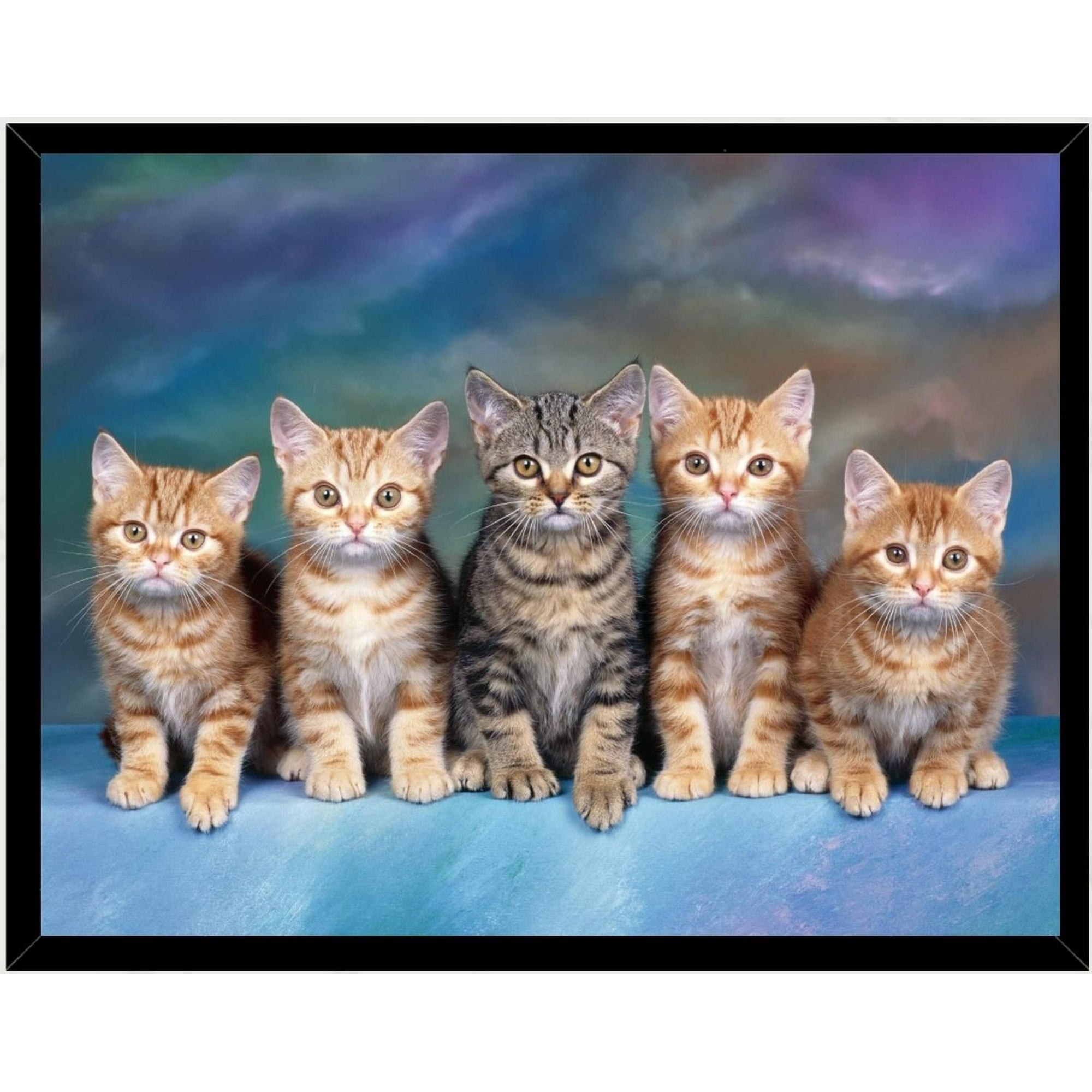 Genérico - Cuadro Decorativo Gatitos Medidas 30x40 Cm