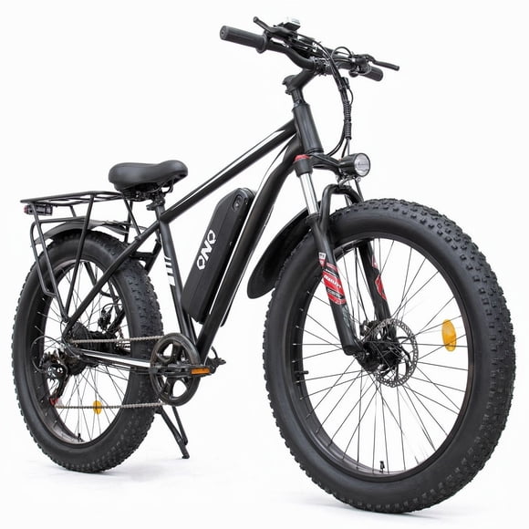 E-FATBike 1000w Shengte Black Single