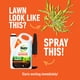 thumbnail image 2 of Herbicida Roundup Crabgrass Destroyer2 1,9 L listo para usar, 2 of 9
