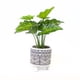 thumbnail image 1 of Planta Artificial Manto Eva, 1 of 6