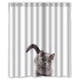 thumbnail image 1 of Cortina de ducha de gato, juego de cortinas de baño con ganchos, tamaño 60 x 72 pulgadas, 1 of 3
