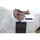 thumbnail image 3 of Cinturón de Protección EquiFit contra Espuelas para Caballo, 3 of 3