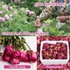 thumbnail image 3 of Kit De Flores Secas 50 Bolsas De Hierbas Secas 100% Naturales, 3 of 7