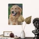 thumbnail image 5 of Cartel de Metal Decorativo Golden Retriever Desmarcar 30x20 cm, 5 of 6