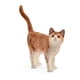 thumbnail image 1 of Juguete para gatos Schleich Farm World Realistic Lindo, naranja y blanco, 1 of 4