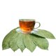 thumbnail image 4 of Club de té mexicano Hojas de guanábana 21 g, 4 of 4