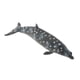 thumbnail image 3 of Simulación De Animales Del Océano Modelo Figura Juguetes Educativos Ballena, 3 of 5