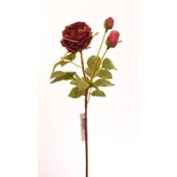 Vadell - Rosa Vino 59 Cm