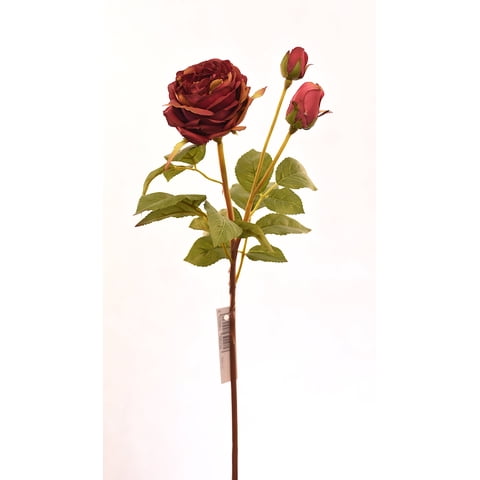 Vadell - Rosa Vino 59 Cm