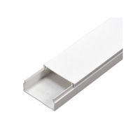 Genérico - Canaleta 16 X 40 Mm Tira 2 Metros