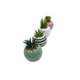 thumbnail image 3 of Macetero Planta 9 cm, 3 of 3
