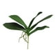 thumbnail image 1 of Hoja De Orquidea 28cm Artificial, 1 of 3