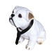 thumbnail image 5 of Figuras Divertidas De Perro Que Asiente Con La Cabeza, Accesorios Para Muñecas, Estatua Interior Automática, 5 of 6