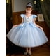 thumbnail image 2 of Disfraz de Cenicienta Hulaha para niñas, vestido de princesa azul para niños, disfraces de Halloween para Halloween, disfraces para Cenicienta 3-4T, 2 of 9