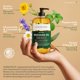 thumbnail image 2 of Aceite de masaje Cosmetasa Sore Muscle con árnica 260 ml, 2 of 8