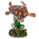 thumbnail image 1 of Escultura Penn-Plax Tortuga Marina de 7 cm para Acuario, 1 of 8
