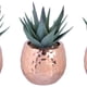 thumbnail image 2 of Set de Suculentas Decorativas Porcelana Cobre 3 Piezas, 2 of 4