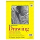 thumbnail image 1 of Bloc de dibujo Strathmore serie 300, 70 libras, 9 x 12 pulgadas, 50 hojas, 1 of 1