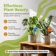 thumbnail image 3 of Globos de riego para plantas Little Green Leaf, juego de 6 (350 ml), 3 of 8