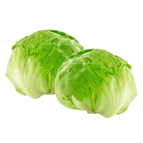 Lechuga Escarola Bolsa, 2 Un