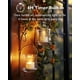 thumbnail image 2 of Velas de té LED sin llama Homemory con temporizador, paquete de 12, 2 of 9